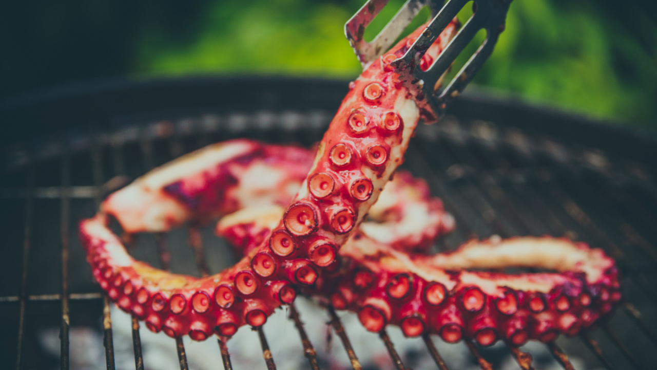 Grilling octopus.
