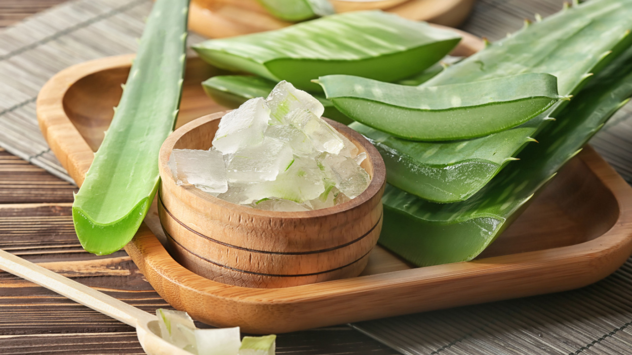 A pile of aloe.