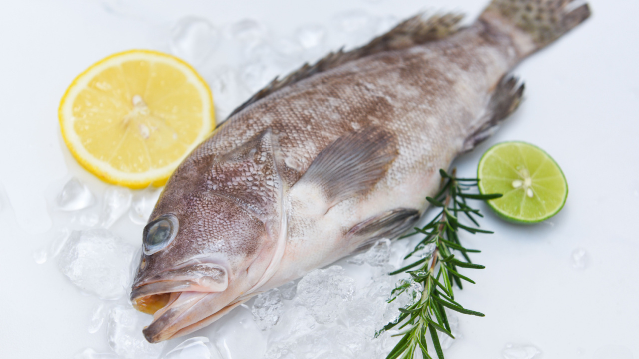 Fish on ice.