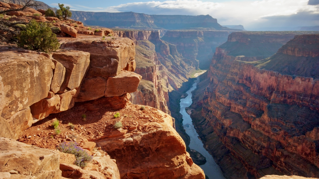 aerial view of the Grand Canyon